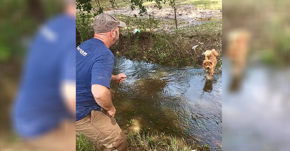 Salva a los animales que son víctimas de desastres naturales – «No soy un héroe»