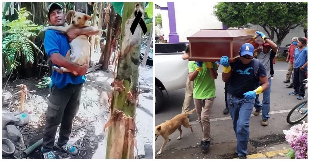 No se aparta del ataúd de su dueño fallecido hasta el último momento del funeral