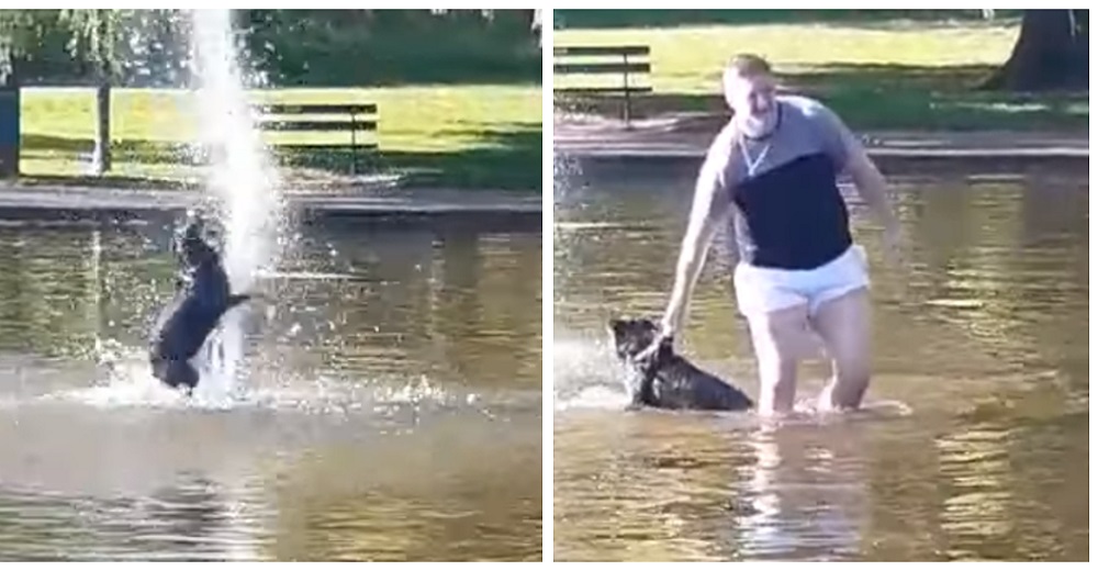 Se ve obligado a entrar al estanque para sacar a su perrita que no piensa dejar de jugar