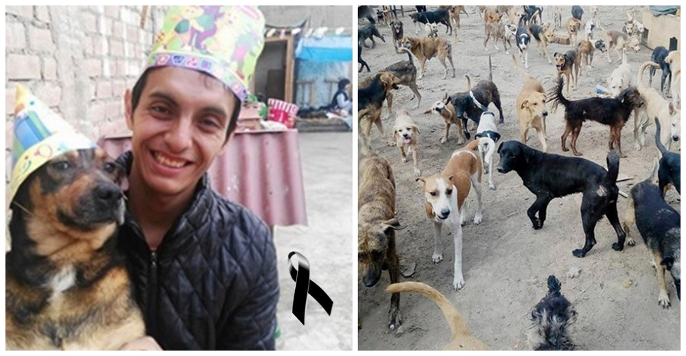 «Edwin Salvando Huellas», el joven que rogó ayuda para sus 90 perros rescatados antes de morir