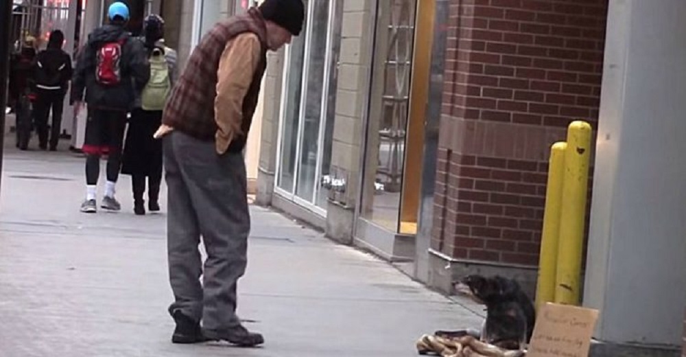 Deja un perro en la calle con un cartel para ver lo que sucede y un hombre sin hogar responde