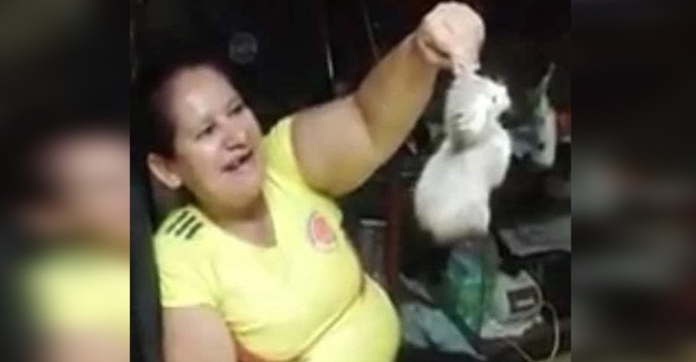 Denuncian a la mujer que sostenía por la oreja a su gato para «hacerlo bailar»