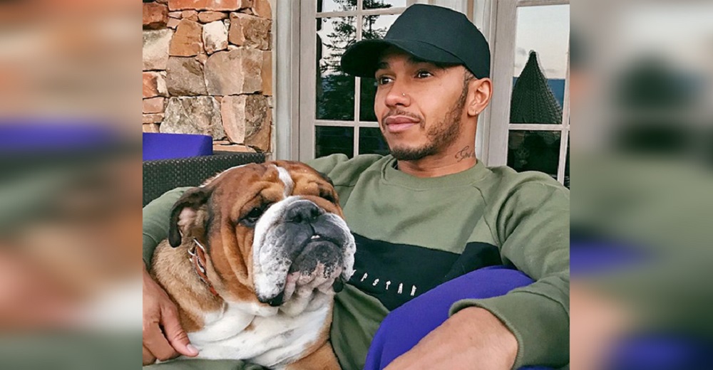 Lewis Hamilton revela los efectos que sufrió su perro tras una polémica decisión sobre su dieta