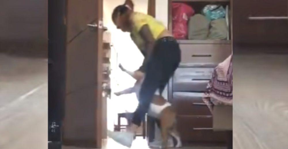 Su perro se niega a salir de su habitación mientras intenta escuchar su clase virtual