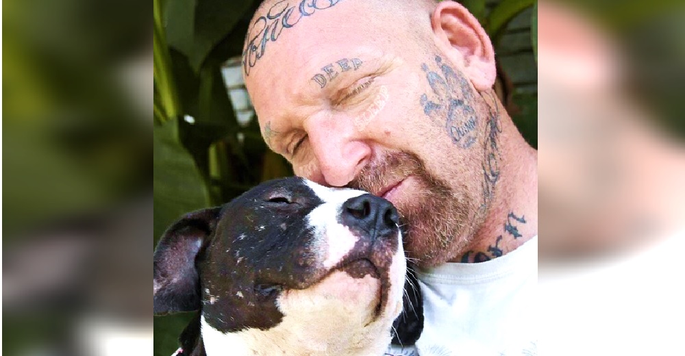 Construye un refugio para darles una oportunidad a los pitbulls que han tenido un triste pasado