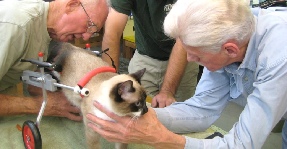 Con 90 años este veterinario trabaja incansablemente para hacer sillas de ruedas para animales