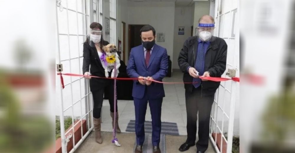 Inauguran el primer crematorio público para mascotas  – «Ya no se los considera cosas»