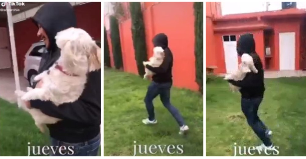 Entrena a su perro para enseñarle a pedir ayuda en caso de que intenten raptarlo