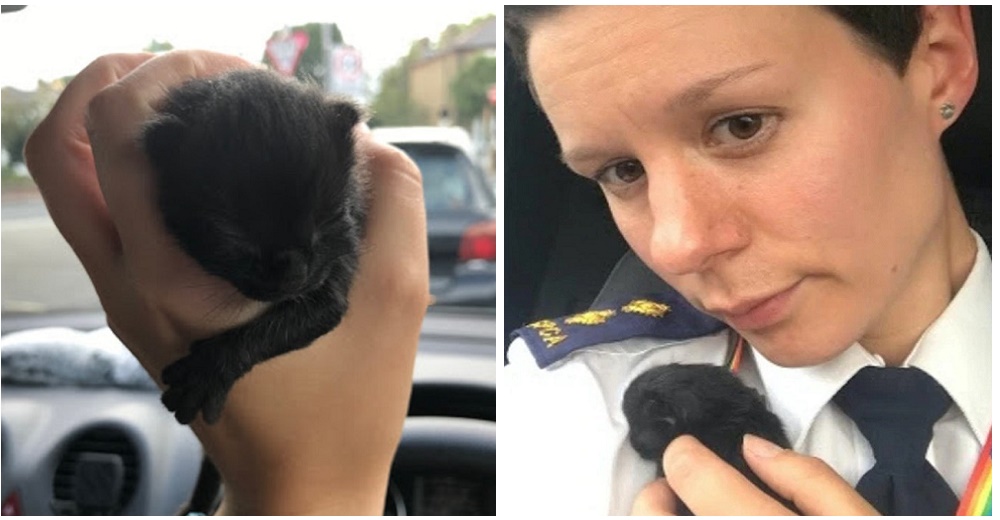 «Solo me tenía a mí»- Una policía usa su ropa para salvar la vida de una gata recién nacida