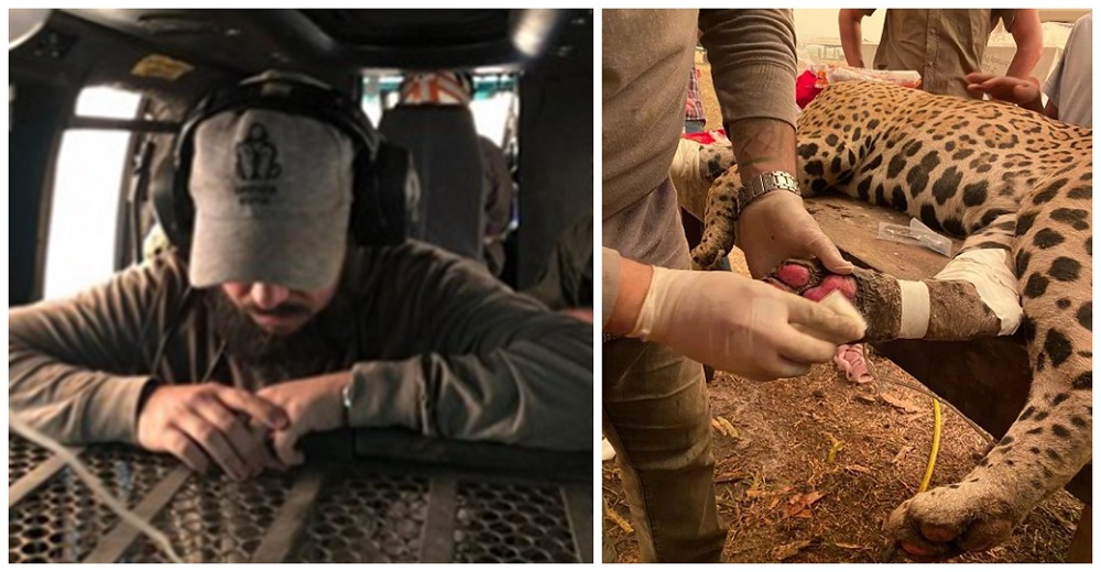 Rompe a llorar el veterinario que trabaja 12 horas cada día salvando animales del fuego