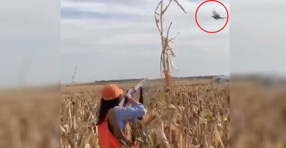 Se graba acabando con la vida de inocentes aves para presumir que así vive el distanciamiento