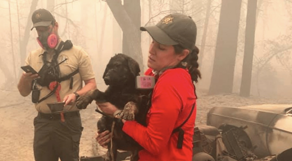 Se detienen para tratar de salvar a un cachorrito cubierto de cenizas que se quedó solo en un incendio