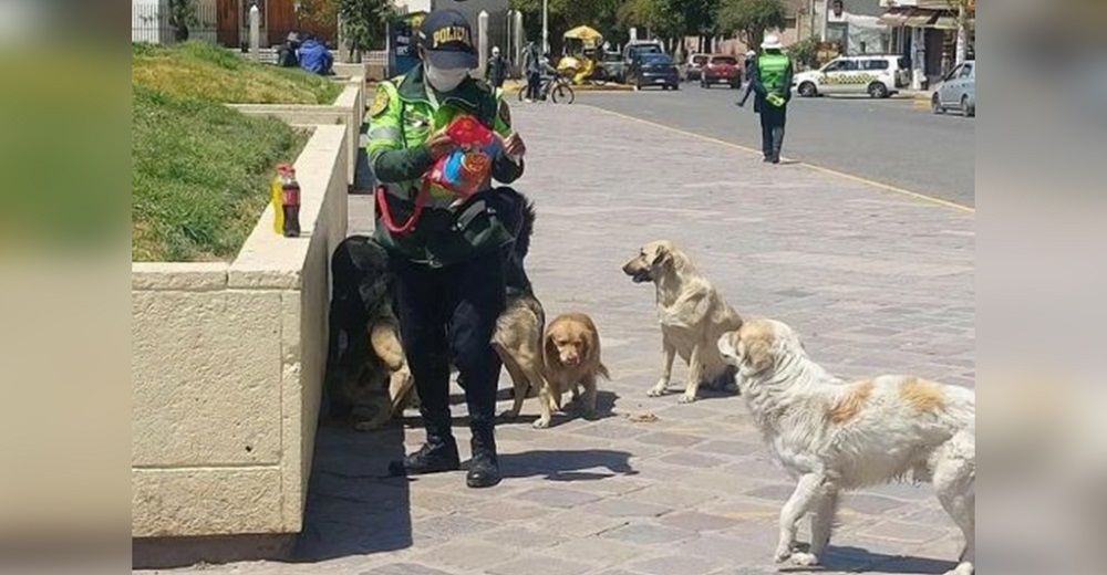 Critican duramente a la mujer policía que fue captada acercándose a perritos callejeros