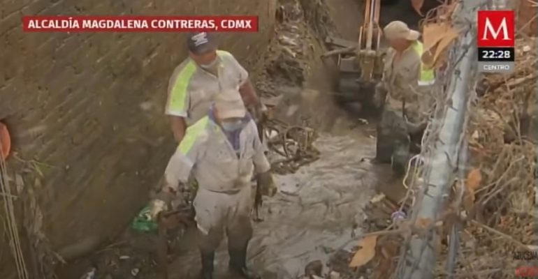 Los Detalles De La Enorme Rata De Casi 2 Metros Hallada En El Interior