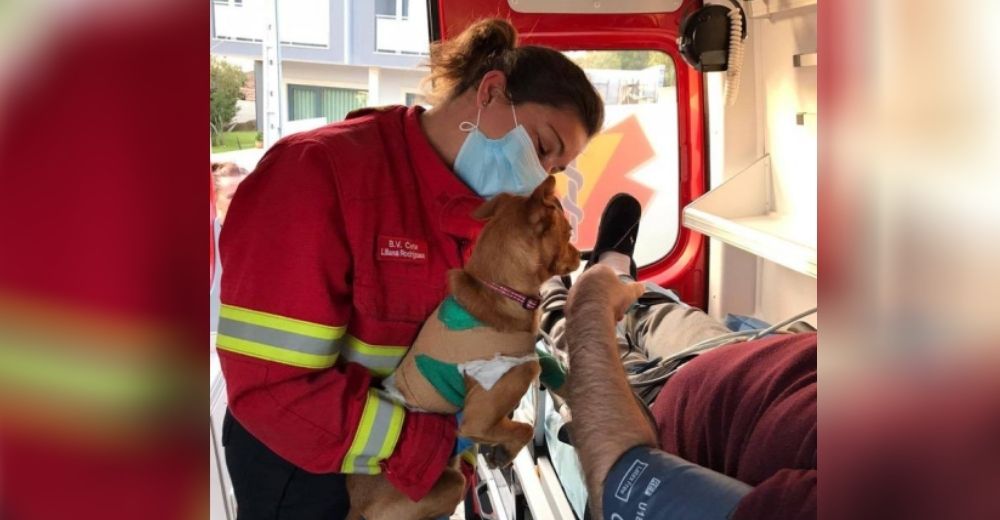 Escuchan unos ladridos desesperados tras subir a un hombre a la ambulancia y los bomberos actúan