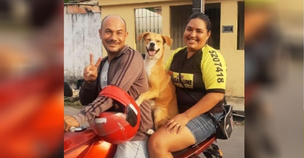 Tras sufrir durante años la indiferencia y el abandono en las calles sonríe por primera vez