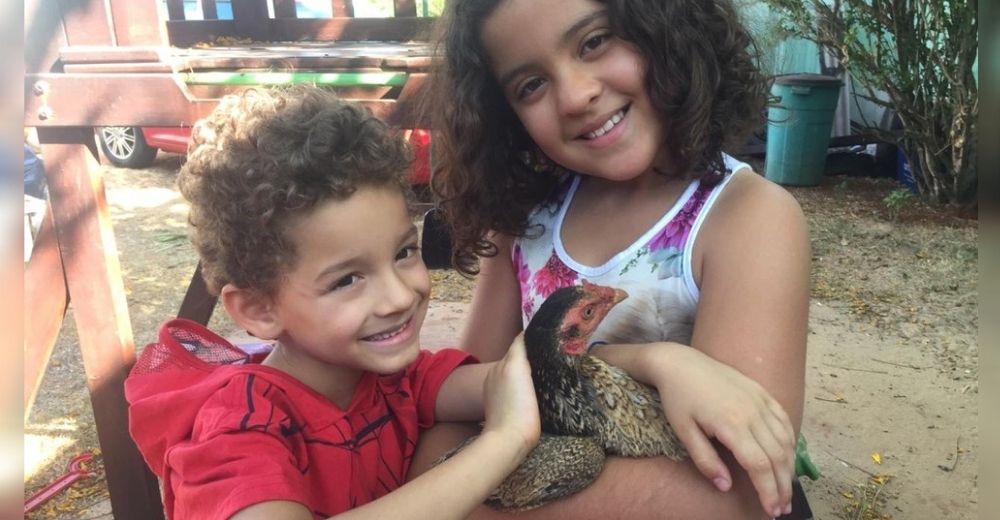 2 hermanitos terminan adoptando a la gallina que su mamá llevo a casa para preparar una sopa