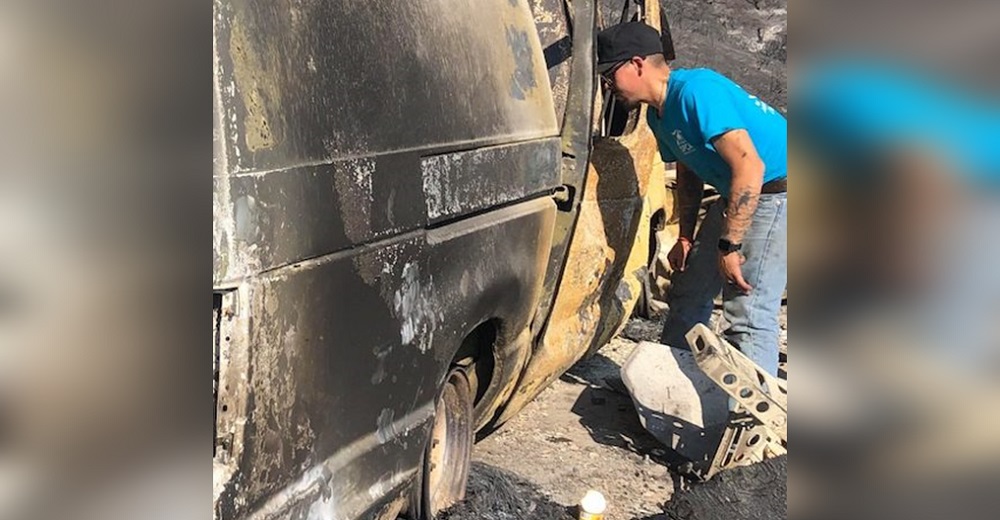 Tres gatitos huyen despavoridos en un incendio, luego ven su único refugio posible chamuscado