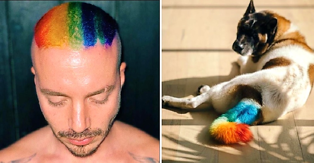 Famoso cantante tiñe a su perro con los colores del colectivo LGBTIQ+ y causa un polémico debate