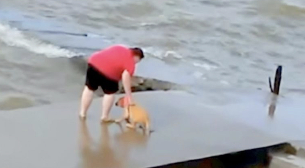 Graban a una mujer arrojando tres veces a su perro a un lago helado – «Lo entreno para que nade»