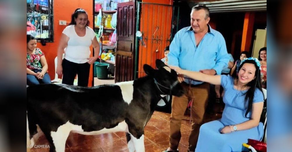 Su suegro aparece en su baby shower con una vaca para ayudar a pagar los estudios de su nieto