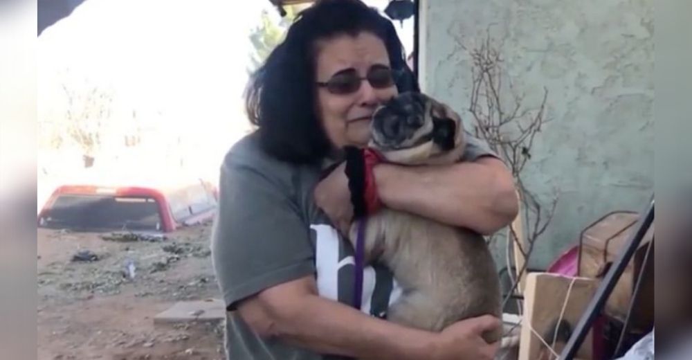 Se reencuentra con su perrito desaparecido después de 6 años anhelando abrazarlo de nuevo