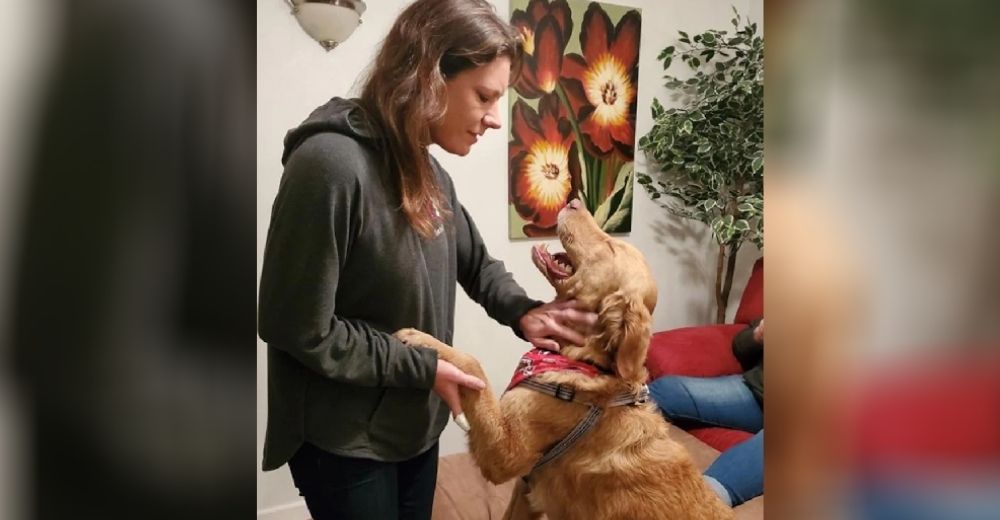 Tras meses de angustia y dolor celebra el milagro de reencontrarse con su perro desaparecido