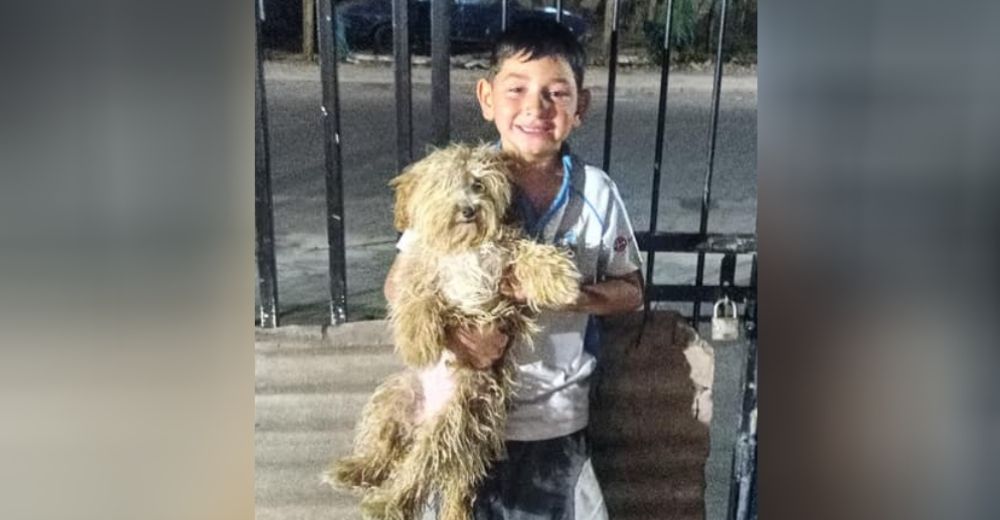 Niño de 7 años con autismo sufrió la peor pesadilla cuando su amada perrita Canela desapareció