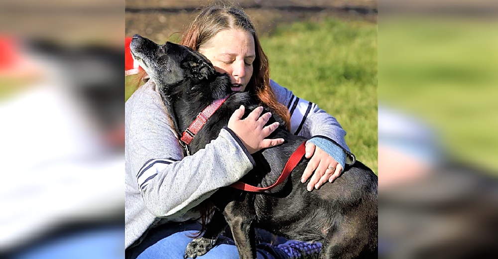 La reacción de una perrita al reconocer a su dueña con epilepsia tras 3 años perdida