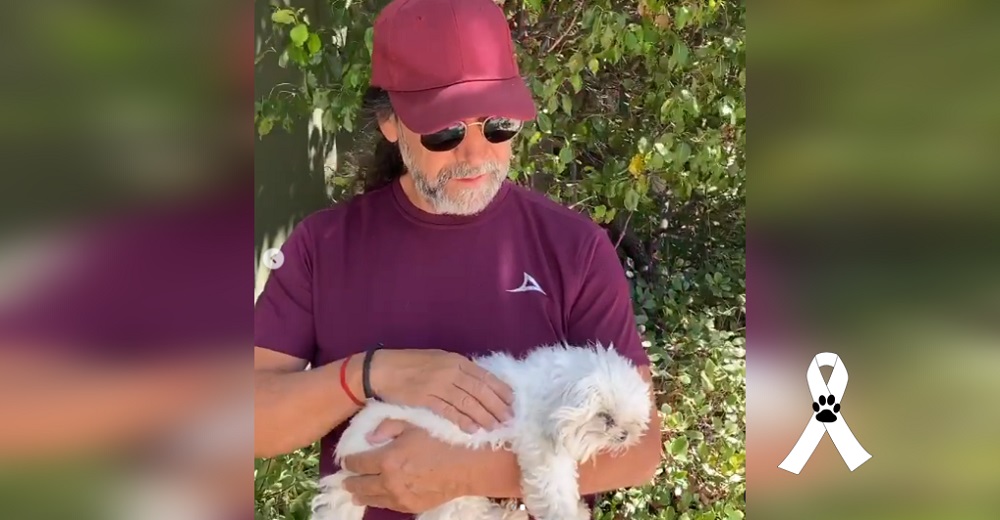 El desolado cantante Marco Antonio Solís se despide de su amada perrita–»Es como perder un hijo»