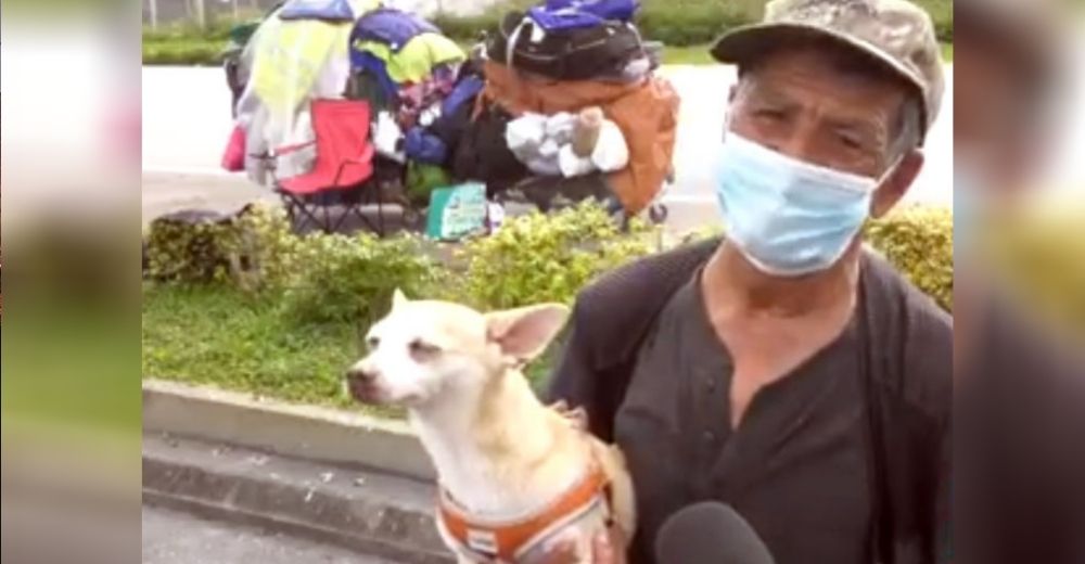 Anciano sin hogar se reencuentra con su amado chihuahua tras llorarlo durante días