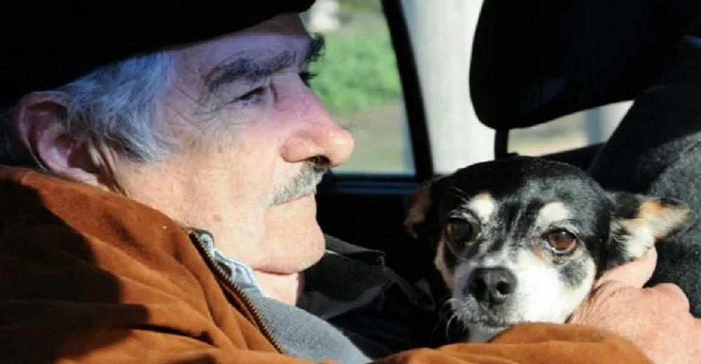 El ex presidente Pepe Mujica pide que lo entierren junto a los restos de su amada perrita fallecida