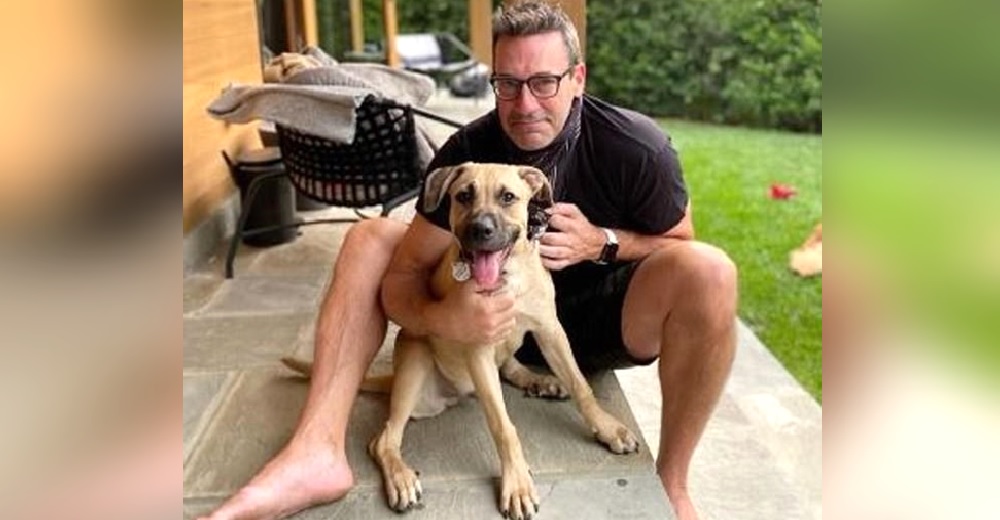 El actor Jon Hamm adopta al perro afligido tras ser rechazado injustamente por 2 familias