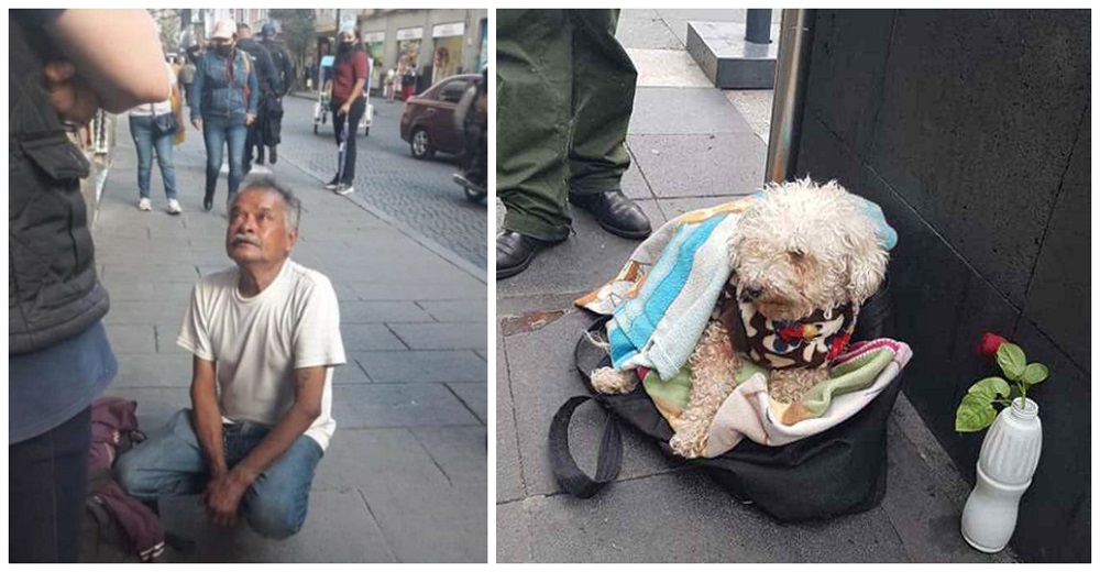 El dulce anciano que vende chicles para alimentar a su perrito llora desconsolado por su amigo