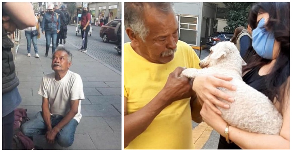 Aparece el perrito del dulce anciano que vendía en las calles tras días de llorar por su amigo