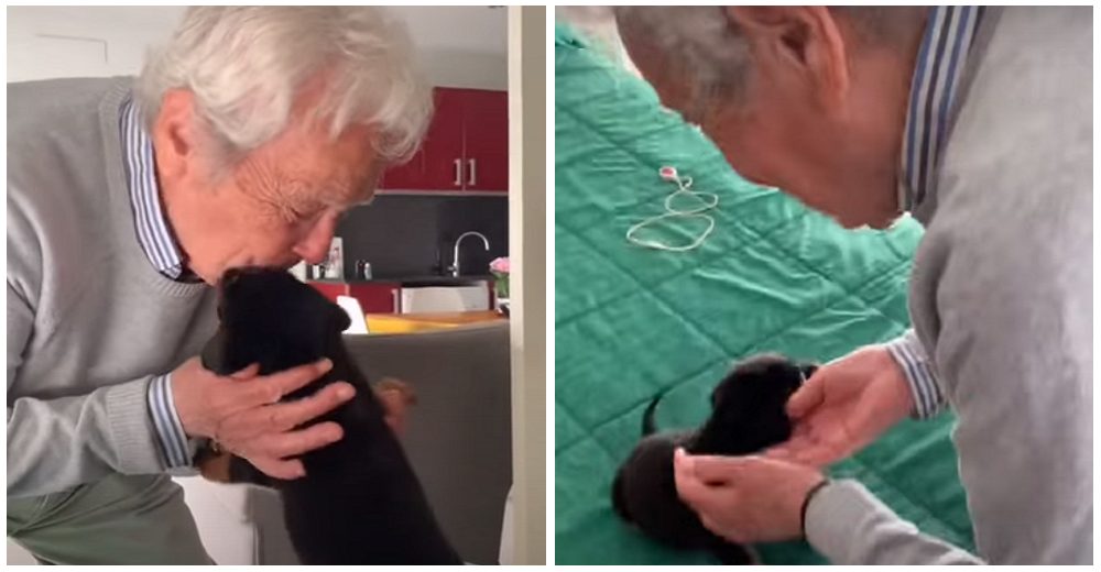 Abuelito de 91 años termina llorando cuando su nieto pone en sus manos una bolita de pelos