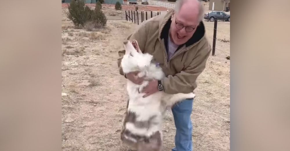 Abuelito sufrió porque su perrita ciega y sorda no lo reconocería tras tanto tiempo separados