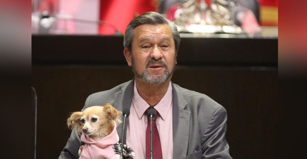 Diputado acude a la Asamblea con su perrita y consigue leyes históricas en favor de los animales