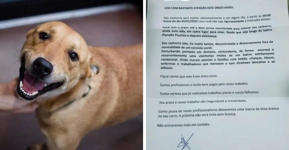 Vecinos denuncian las amenazas que reciben para deshacerse de sus mascotas cuanto antes