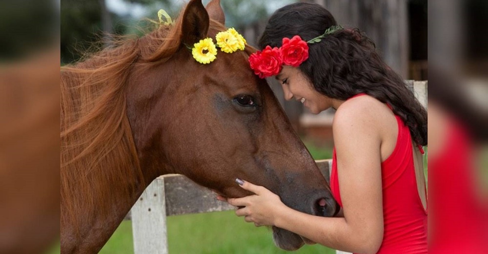 Su yegua está a punto de ser madre y lo celebra con una emotiva sesión de fotos