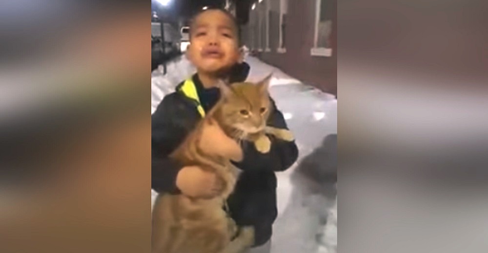 “¡Suéltalo Andrés, es de la calle!” – Niño llora rogando a su mamá rescatar al gato que encontró