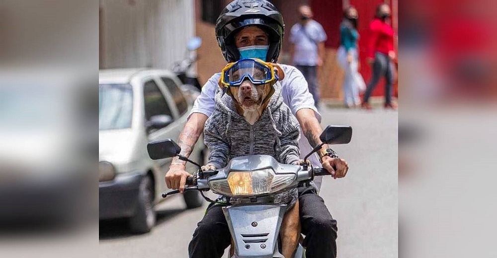 Responde a quienes lo acusan por viajar en motocicleta con su perrita -«Me dio por experimentar»