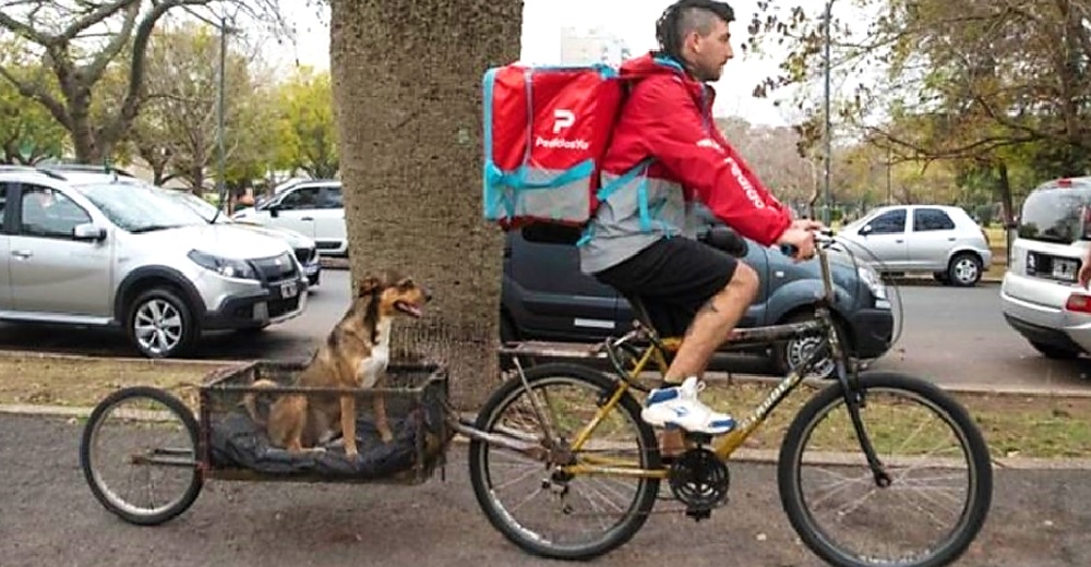 Muchos detienen al repartidor tras ver el acto que tuvo con un indefenso perrito en su bicicleta