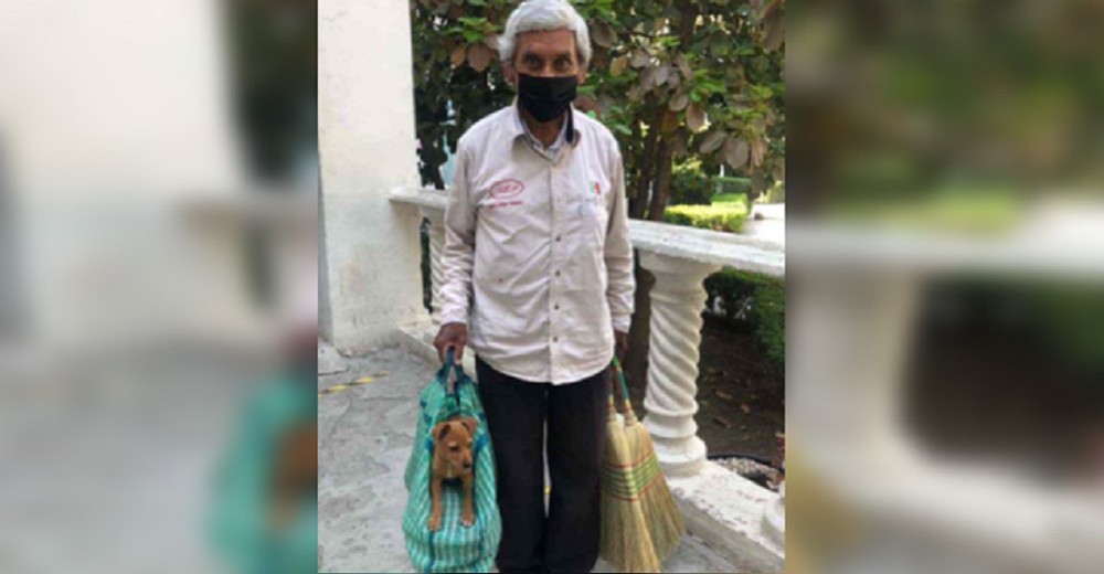 Un abuelito vende escobas en la calle junto al cachorro que adoptó y lo cuida como a un bebé