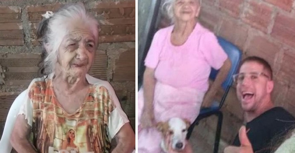 Aparece el perro de la abuelita que suplicó ayuda llorando para dar con su paradero