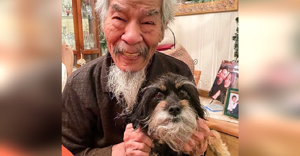 Abuelito desconsolado tras morir su mascota se conmueve con su alma gemela que vio en el refugio