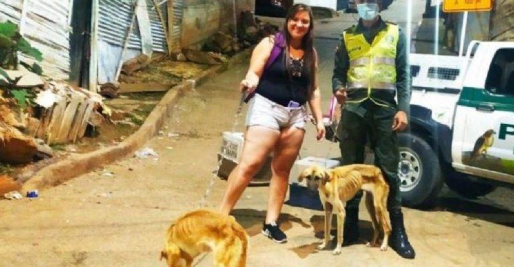 Los vecinos piden ayuda para rescatar a 3 perritos que sobreviven en condiciones deplorables