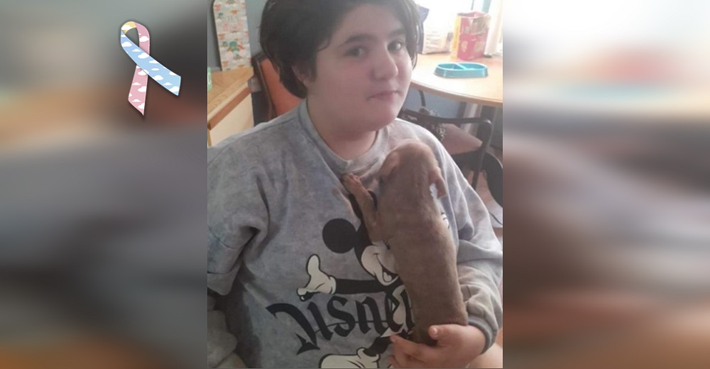 Niña de 11 años muere como heroína en un desesperado intento por salvar a sus cachorros pitbull