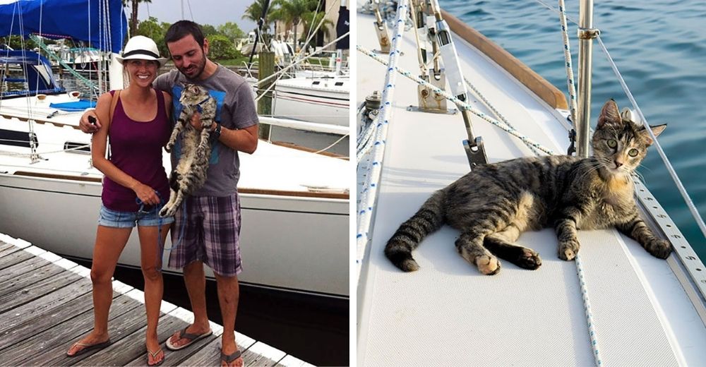 Pareja renuncia a sus empleos para viajar por todo el mundo junto a su amado gato