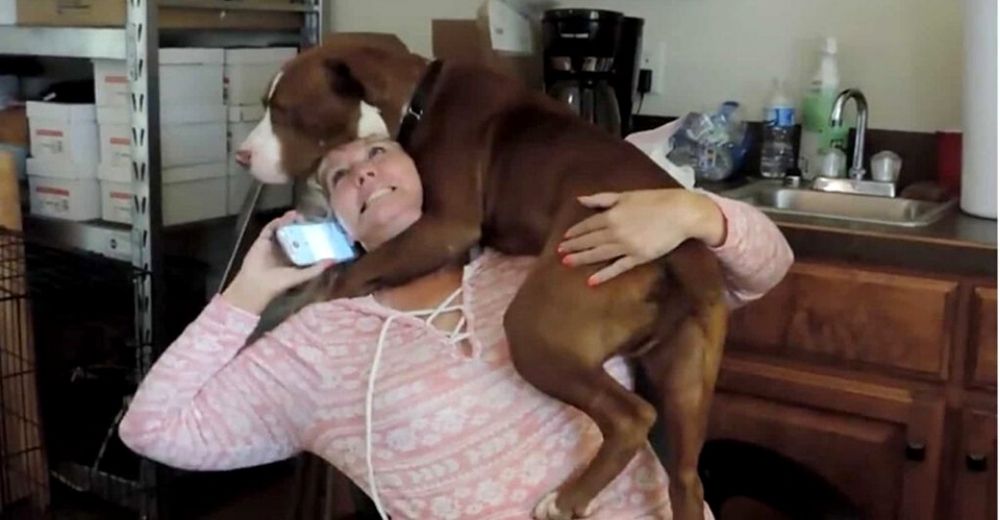 Perrito rescatado muestra lo feliz y agradecido que está de que lo hayan liberado de las cadenas